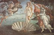 Sandro Botticelli The birth of Venus oil painting